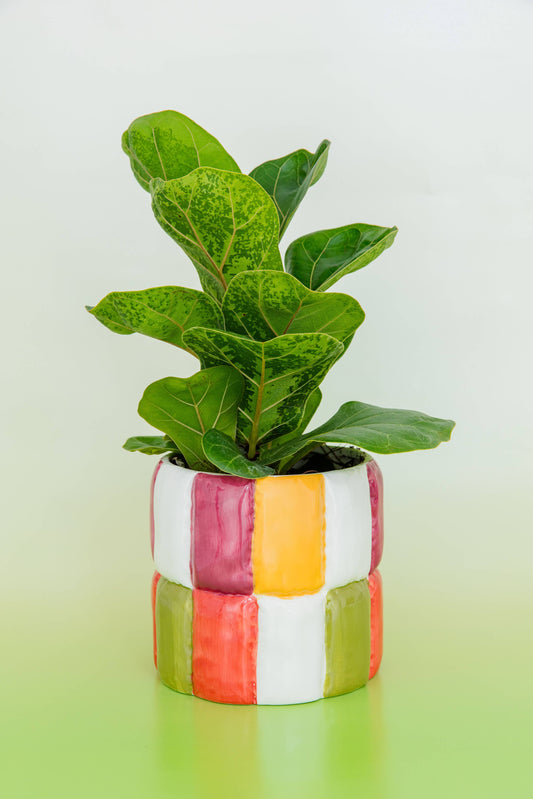 Ceramic Planter, Colorblock