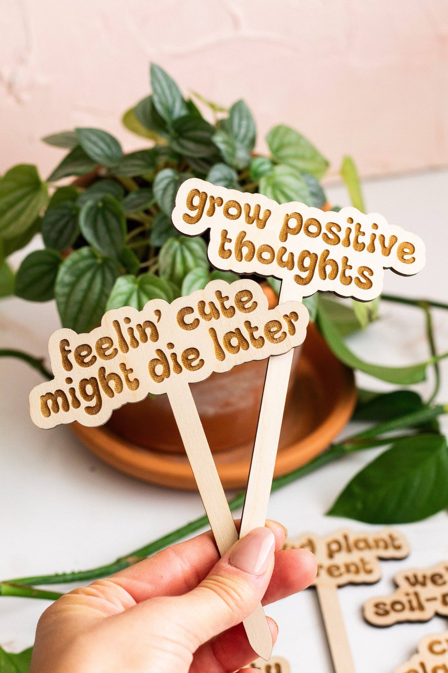 Retro Funny Wooden Plant Markers