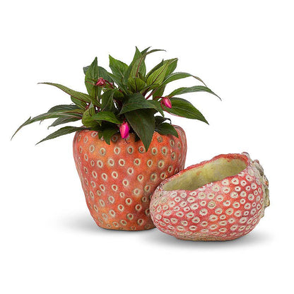 Small Strawberry Planter-5"D