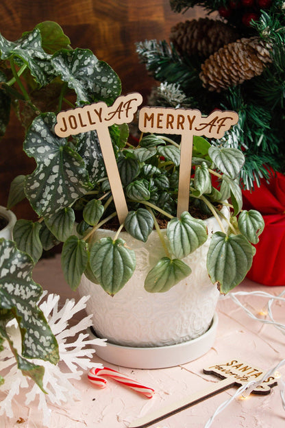 Funny Christmas Wooden Plant Markers