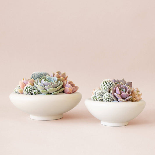 Birdie Bowl | Vintage White