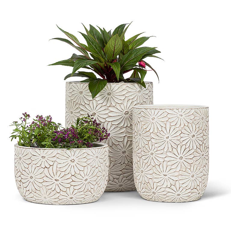 Sm Wht Daisy Low Round Planter-4"H