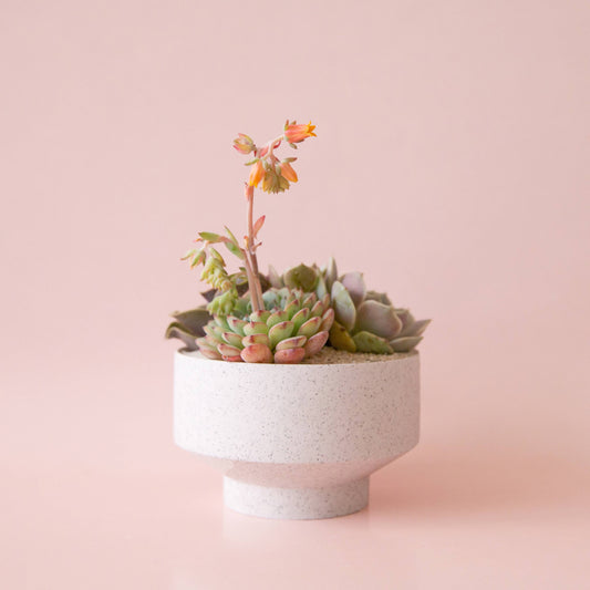 Speckle Footed Pot | White Large