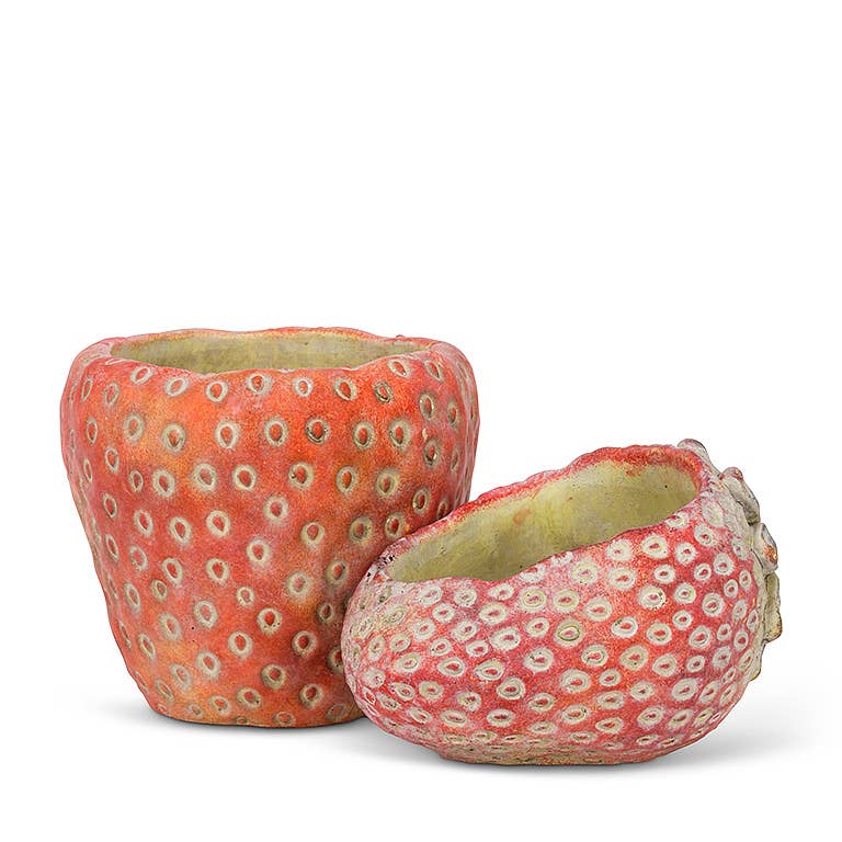 Small Strawberry Planter-5"D