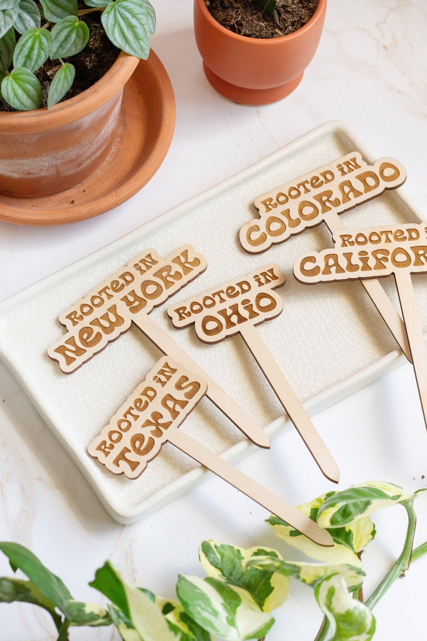 Retro State Name Plant Stakes