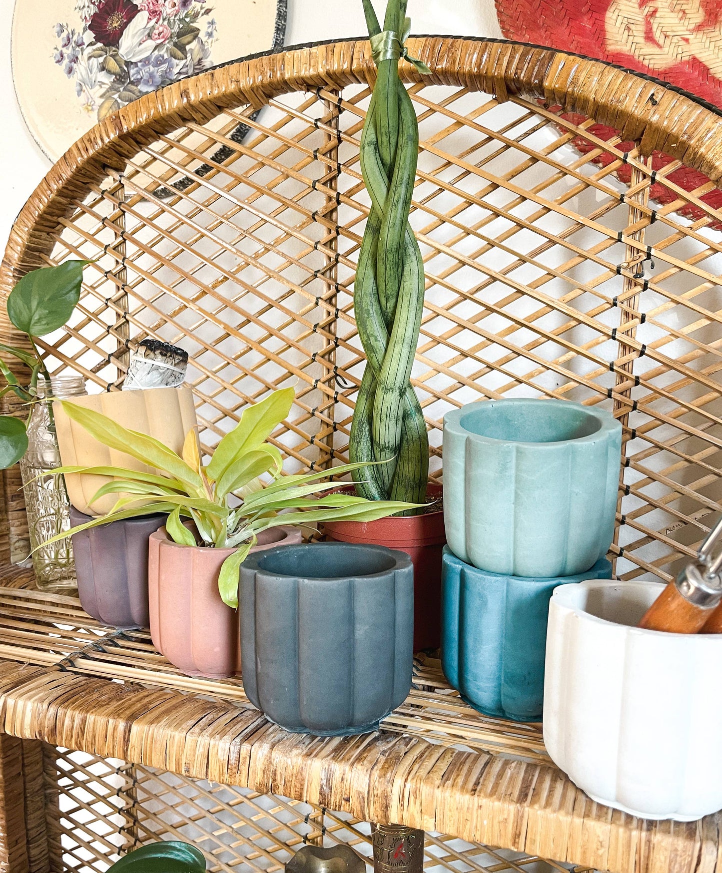 Scalloped Cement Planter