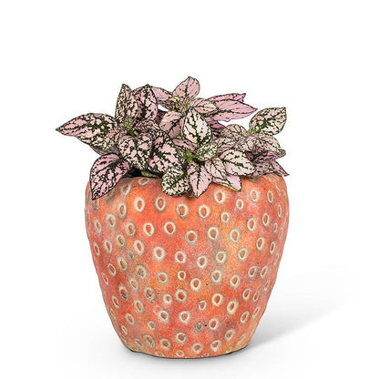 Small Strawberry Planter-5"D