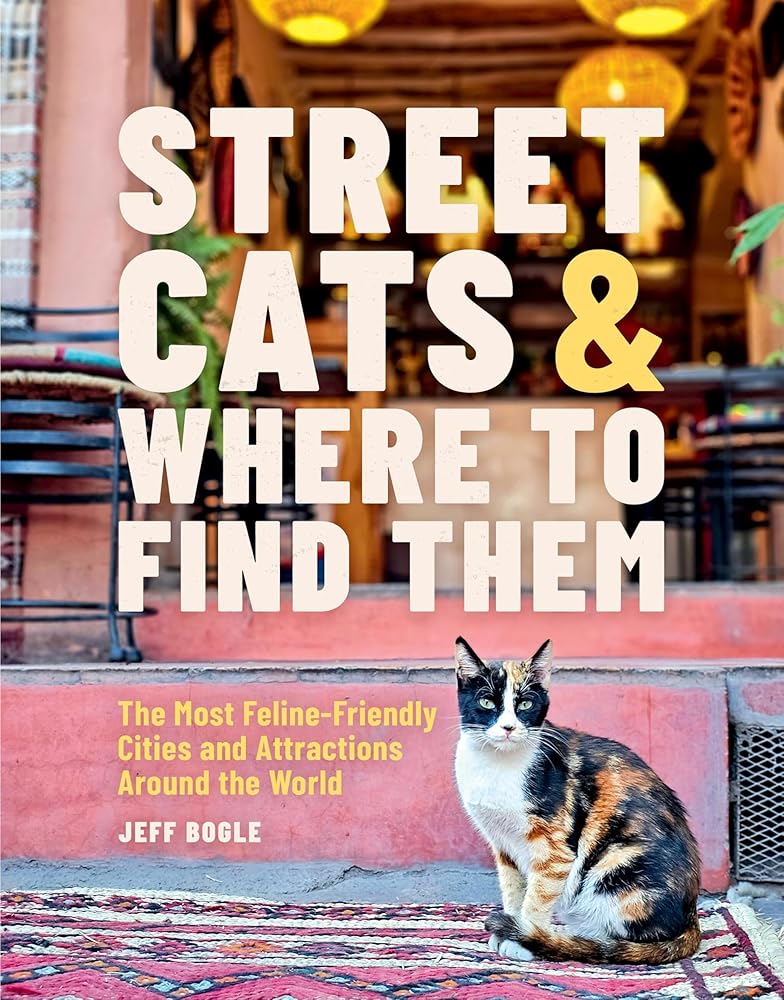 Street Cats & Where to Find Them: The Most Feline-Friendly Cities and Attractions Around the World cover image