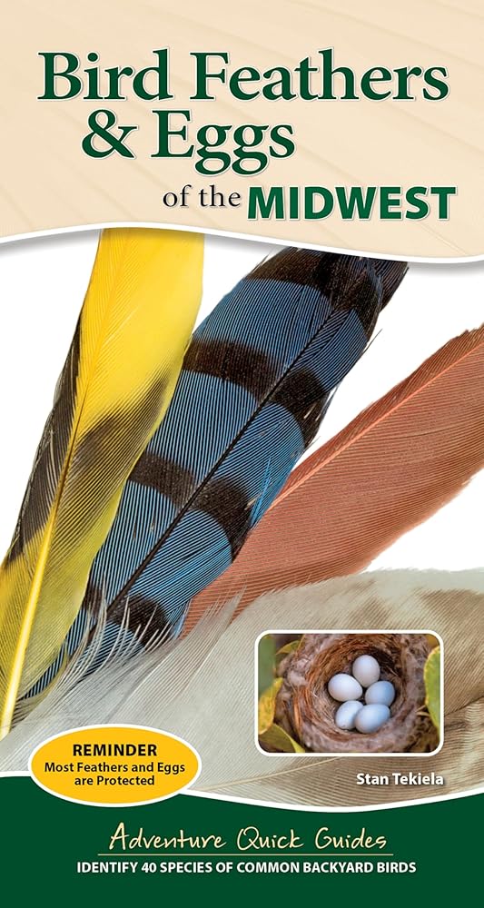 Bird Feathers & Eggs of the Midwest: Identify 40 Species of Common Backyard Birds (Adventure Quick Guides) cover image