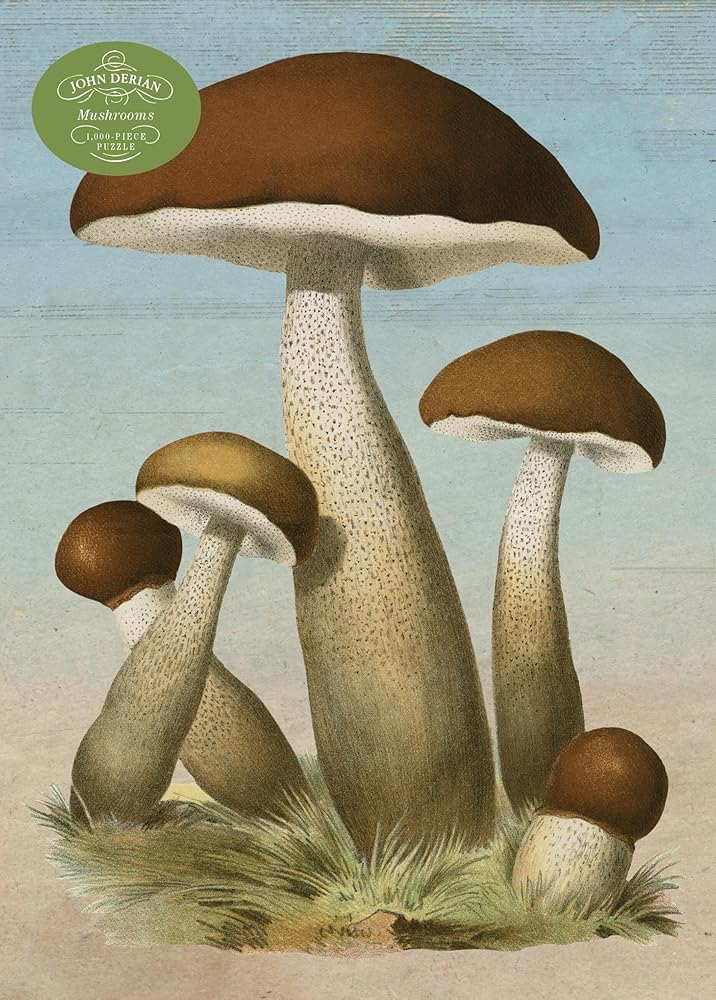 John Derian Paper Goods: Mushrooms 1,000-Piece Puzzle cover image