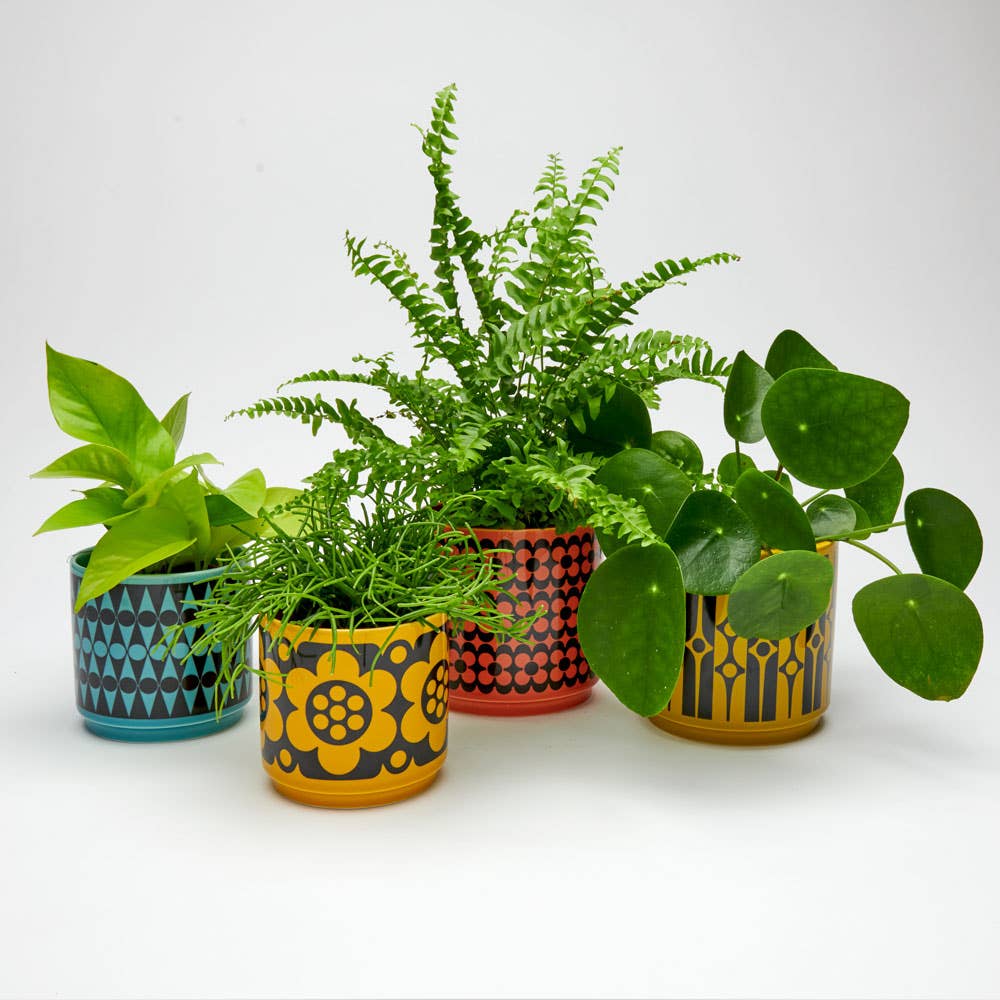 Magpie Hornsea Plant Pot | Geo Flower Yellow