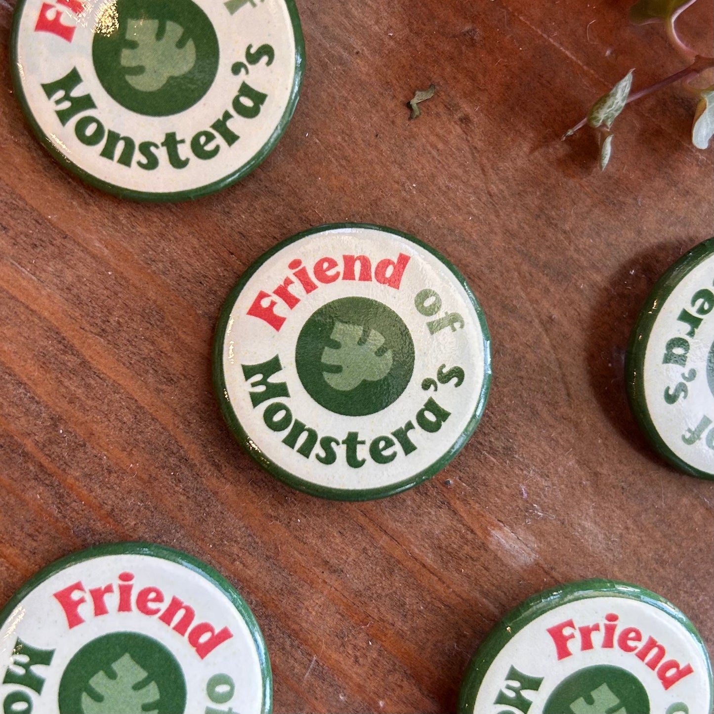 Friend of Monstera's Button