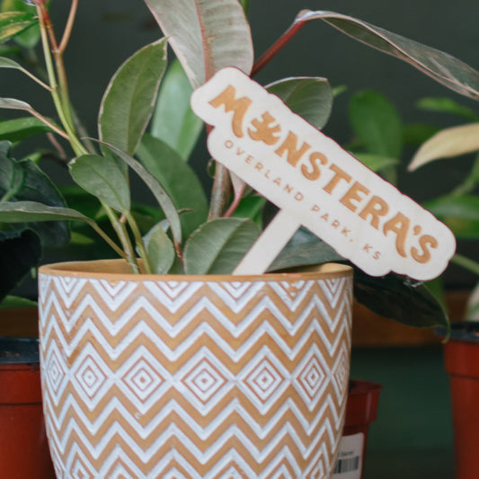 Monstera's Books Wooden Plant Markers