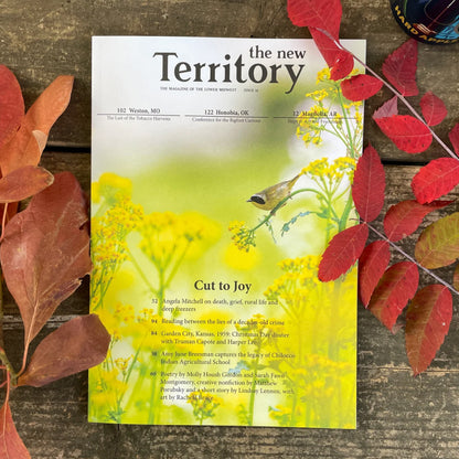 New Territory Magazine - Issue 16