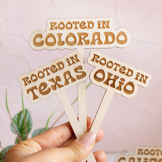 Retro State Name Plant Stakes