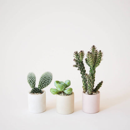 Tiny Pot | Pink