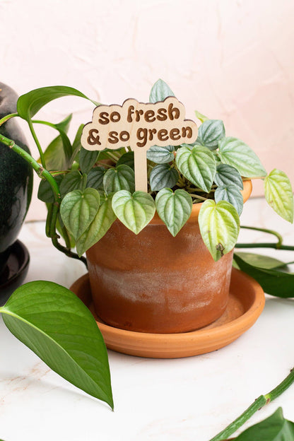 Retro Funny Wooden Plant Markers