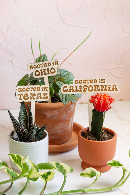 Retro State Name Plant Stakes