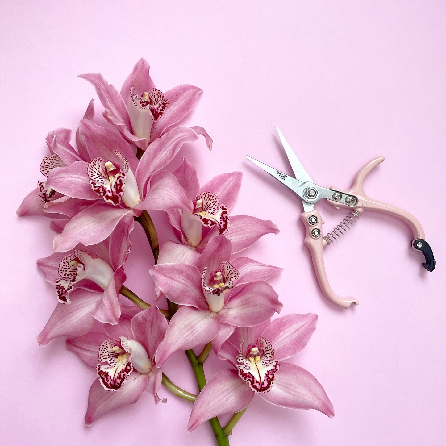 Pruning Shears | Pink