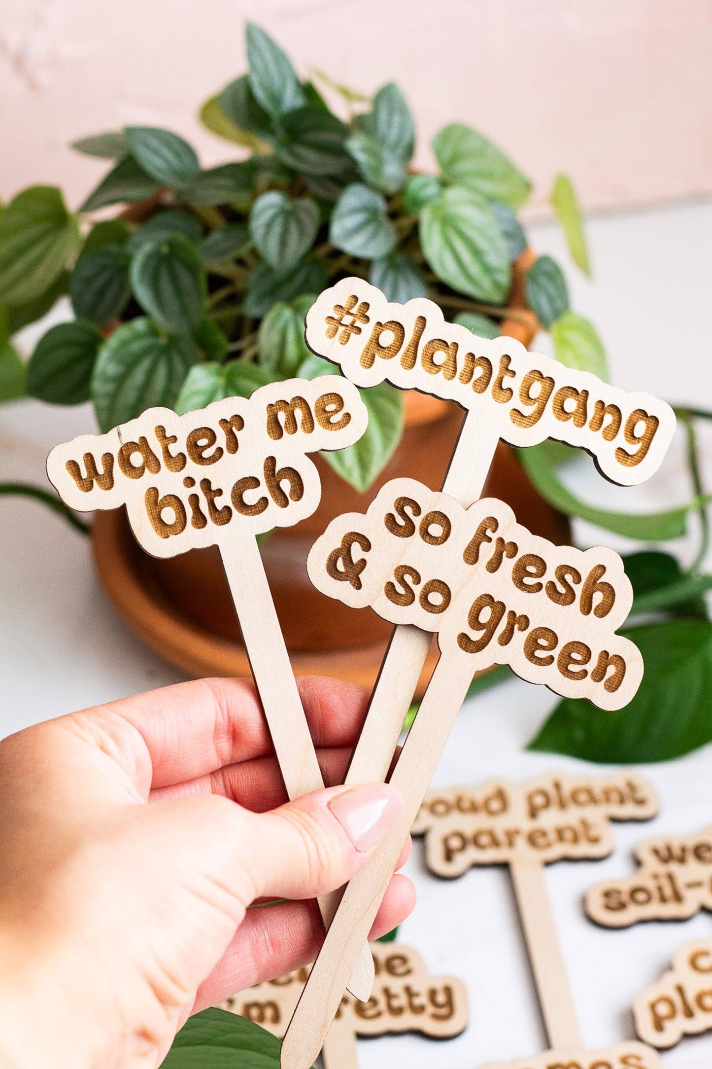 Retro Funny Wooden Plant Markers