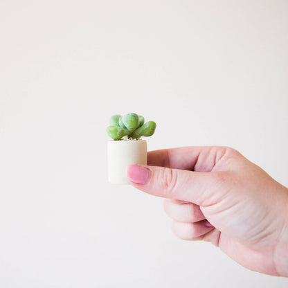 Tiny Pot | Pink