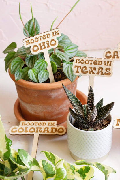 Retro State Name Plant Stakes