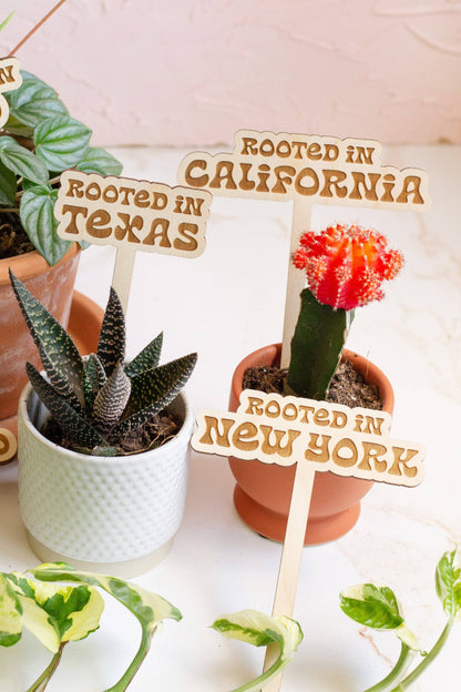 Retro State Name Plant Stakes