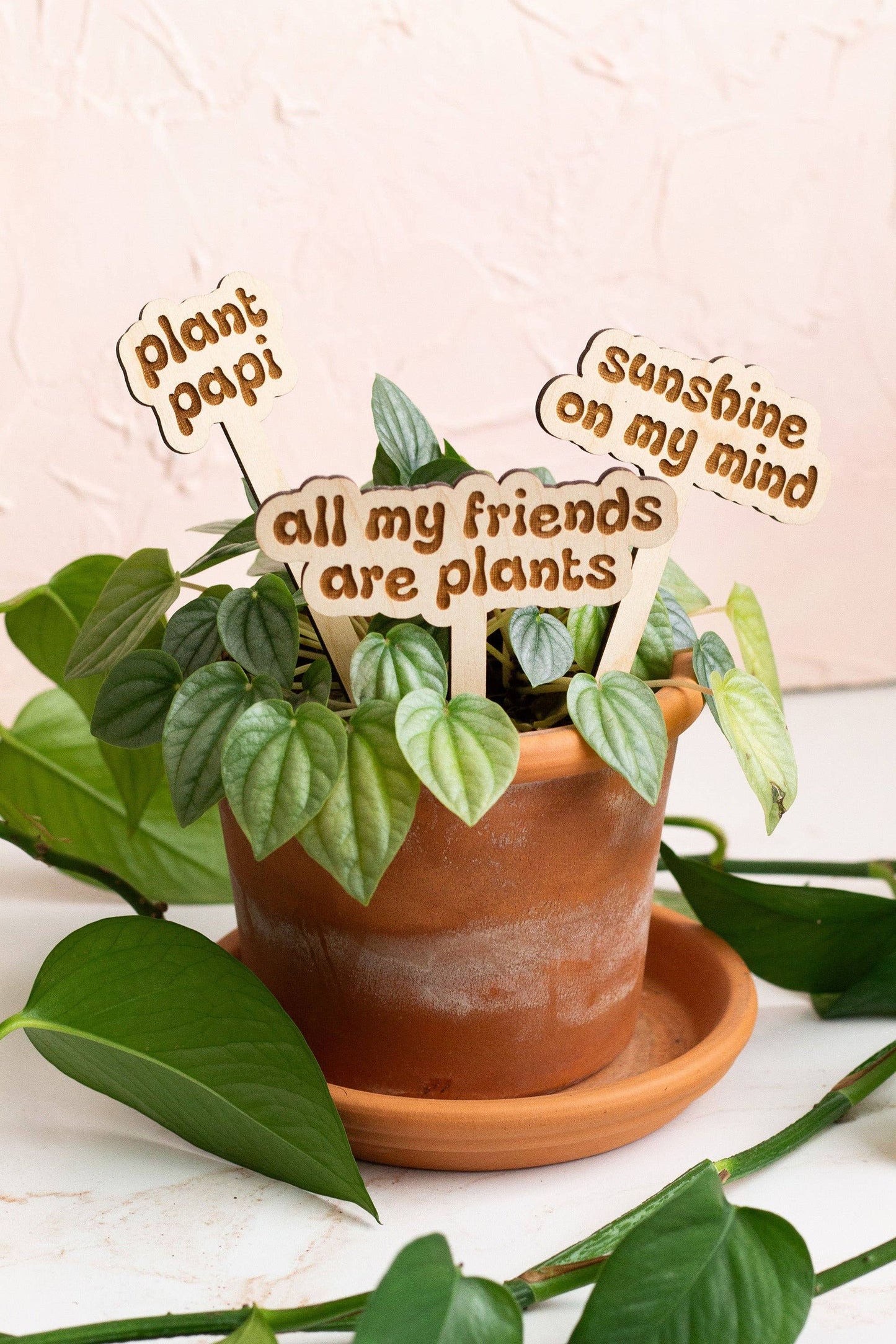 Retro Funny Wooden Plant Markers