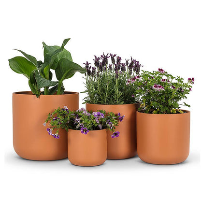 Md Classic Planter-Terracotta-5"H