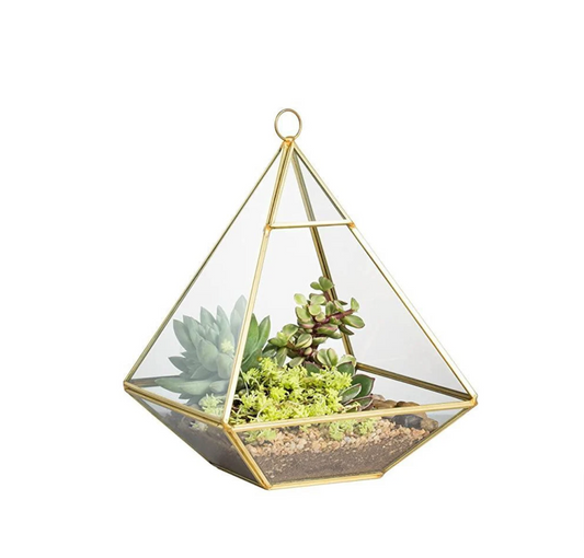 Terrarium Gardening Class (Feb. 12)