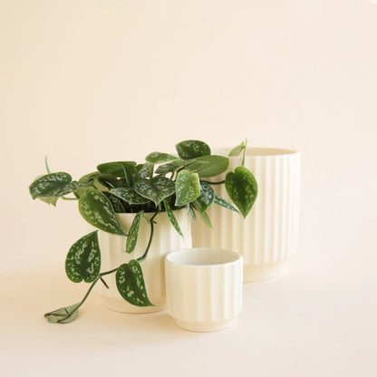 Monroe Pot | Vintage White