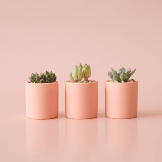 Tiny Pot | Peach